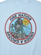 画像4: RADIALL  ONE NATION-CREW NECK T-SHIRT S/S (Saxe Blue) (4)