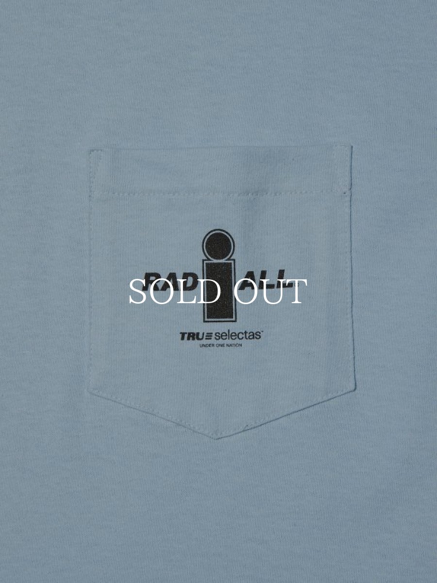 画像3: RADIALL  ONE NATION-CREW NECK T-SHIRT S/S (Saxe Blue) (3)