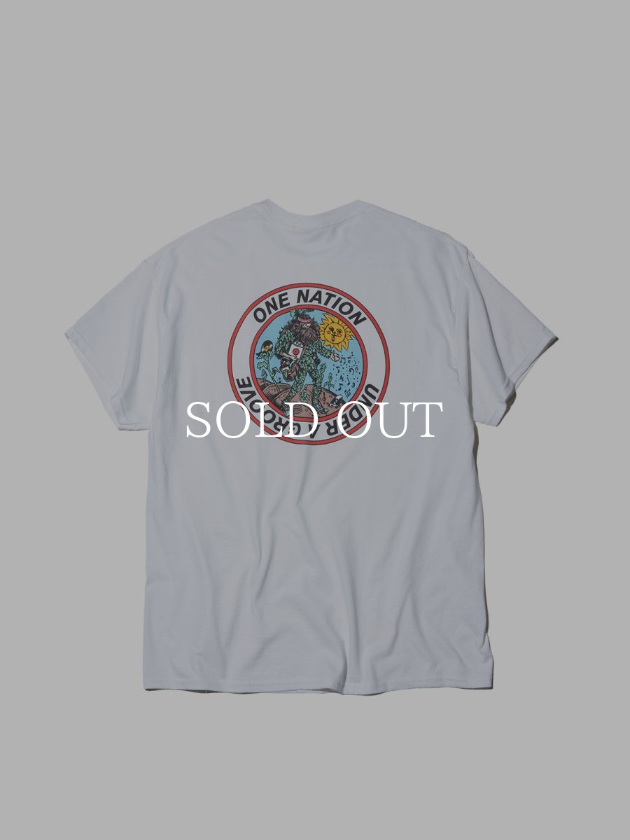 画像2: RADIALL  ONE NATION-CREW NECK T-SHIRT S/S (White) (2)