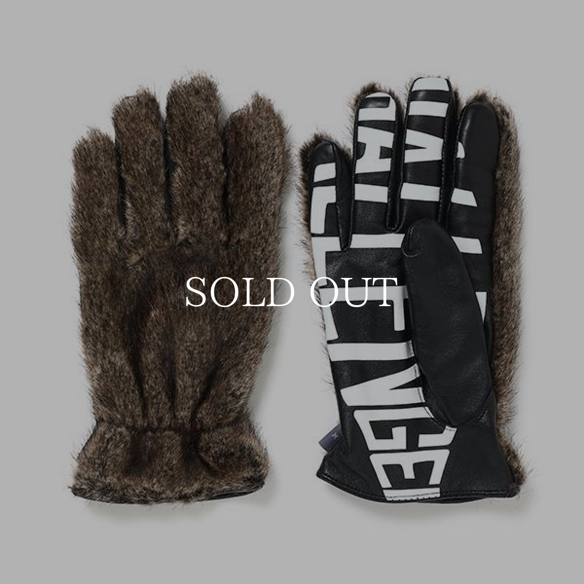 画像1: CHALLENGER  BOA GLOVE (1)