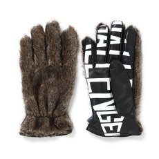 画像1: CHALLENGER  BOA GLOVE (1)