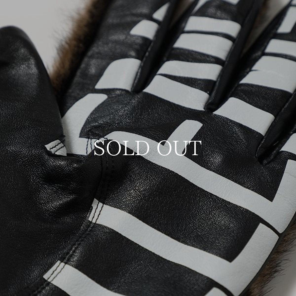 画像10: CHALLENGER  BOA GLOVE (10)