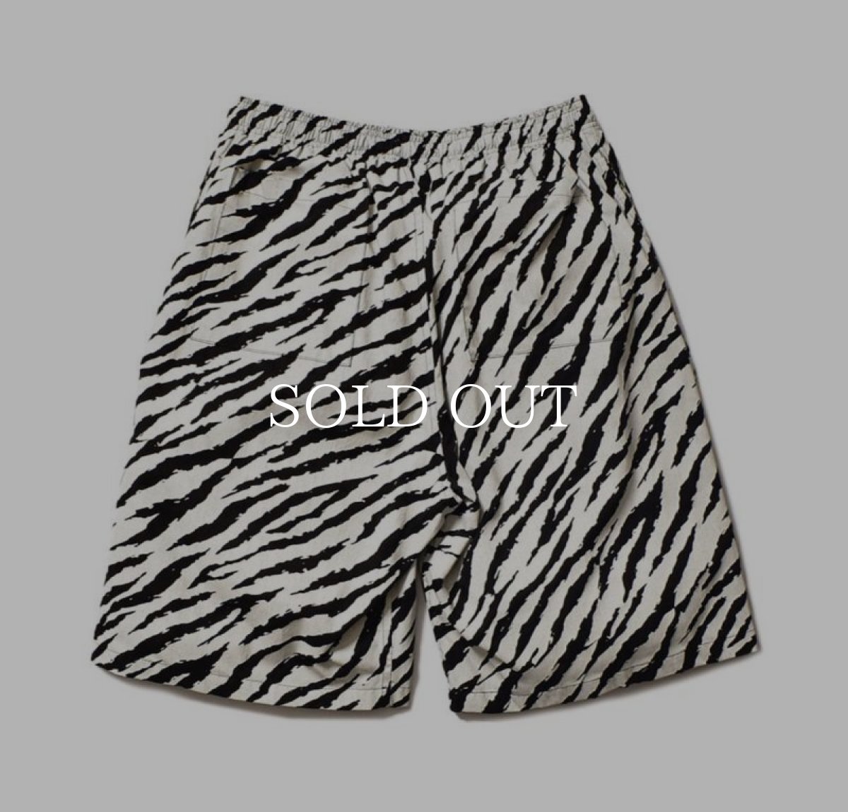 画像2: MINEDENIM  Diago.T Denim Surf Shorts (WPT) (2)