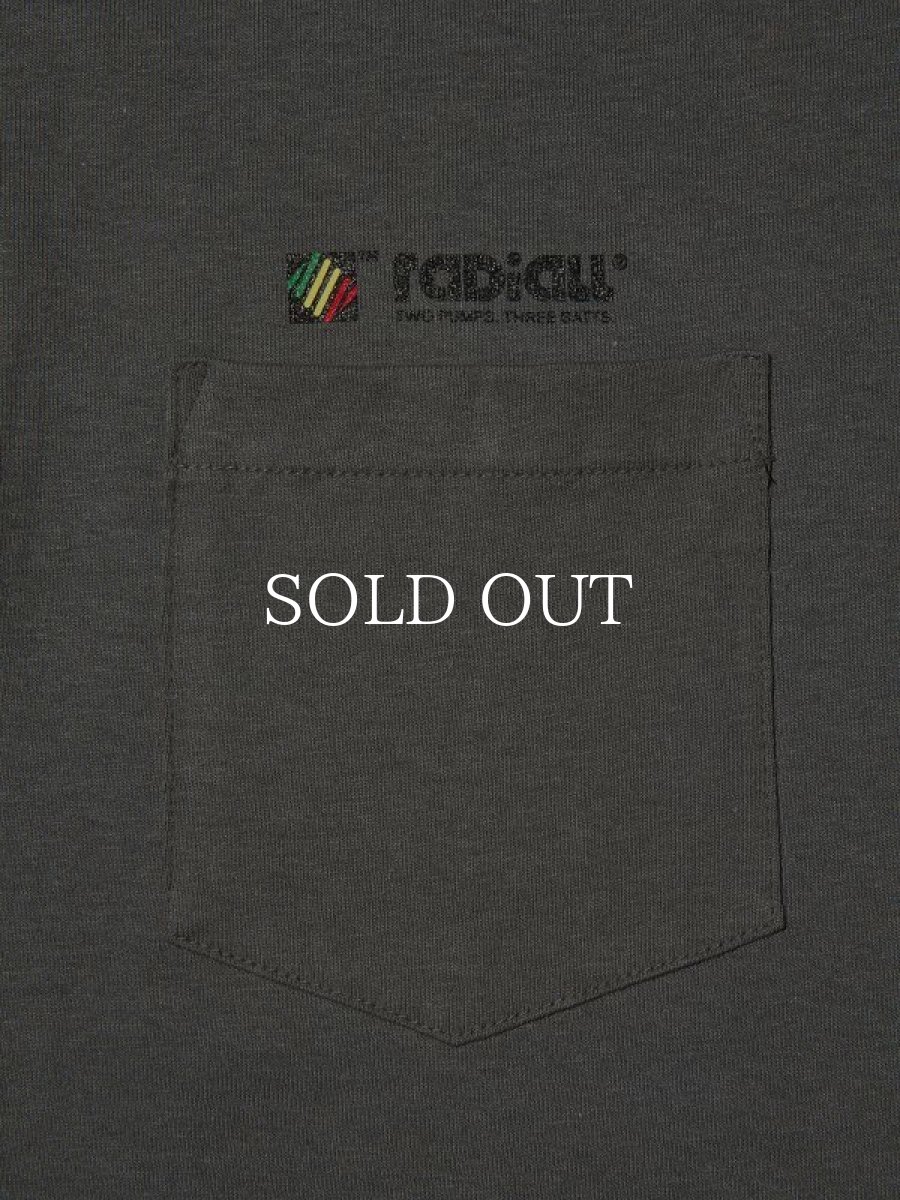 画像3: RADIALL  DREAD COIL-CREW NECK T-SHIRT S/S (Ink Black) (3)