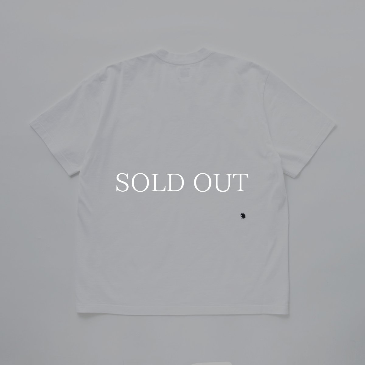 画像2: RATS  DIRTYCO TEE (WHITE) (2)