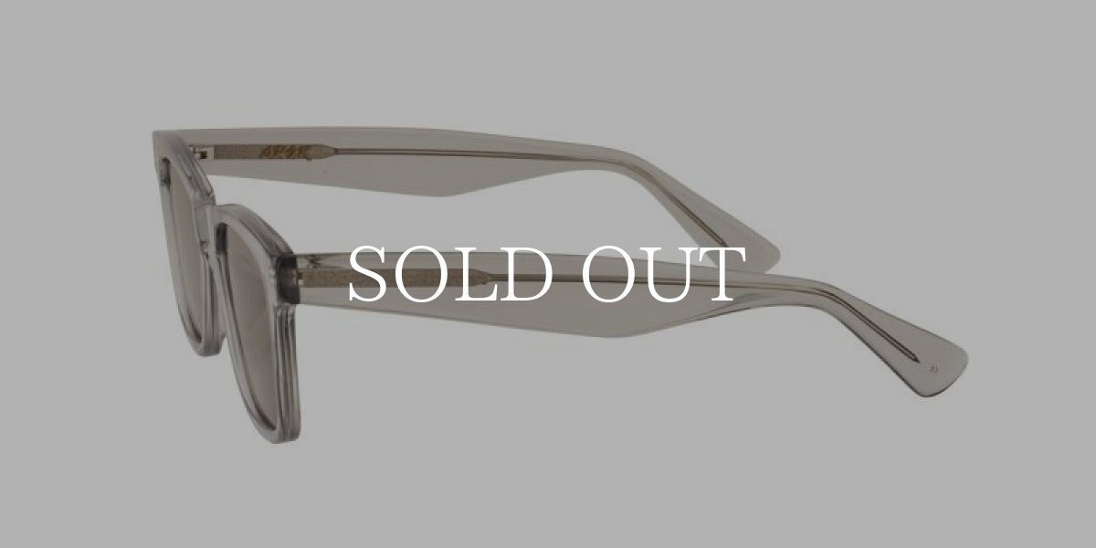 画像3: A.D.S.R.  D 04 (Clear Gray / Gray) (3)