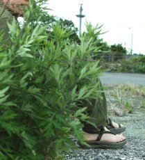 画像6: nonnative × rig  KAMBA (OLIVE) (6)