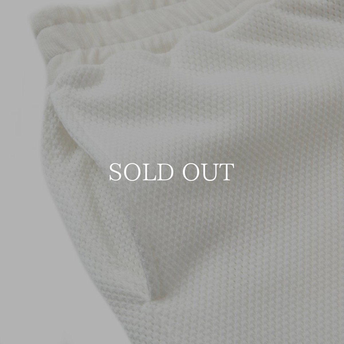 画像4: CALEE  NT Logo ct mesh game easy shorts (White) (4)