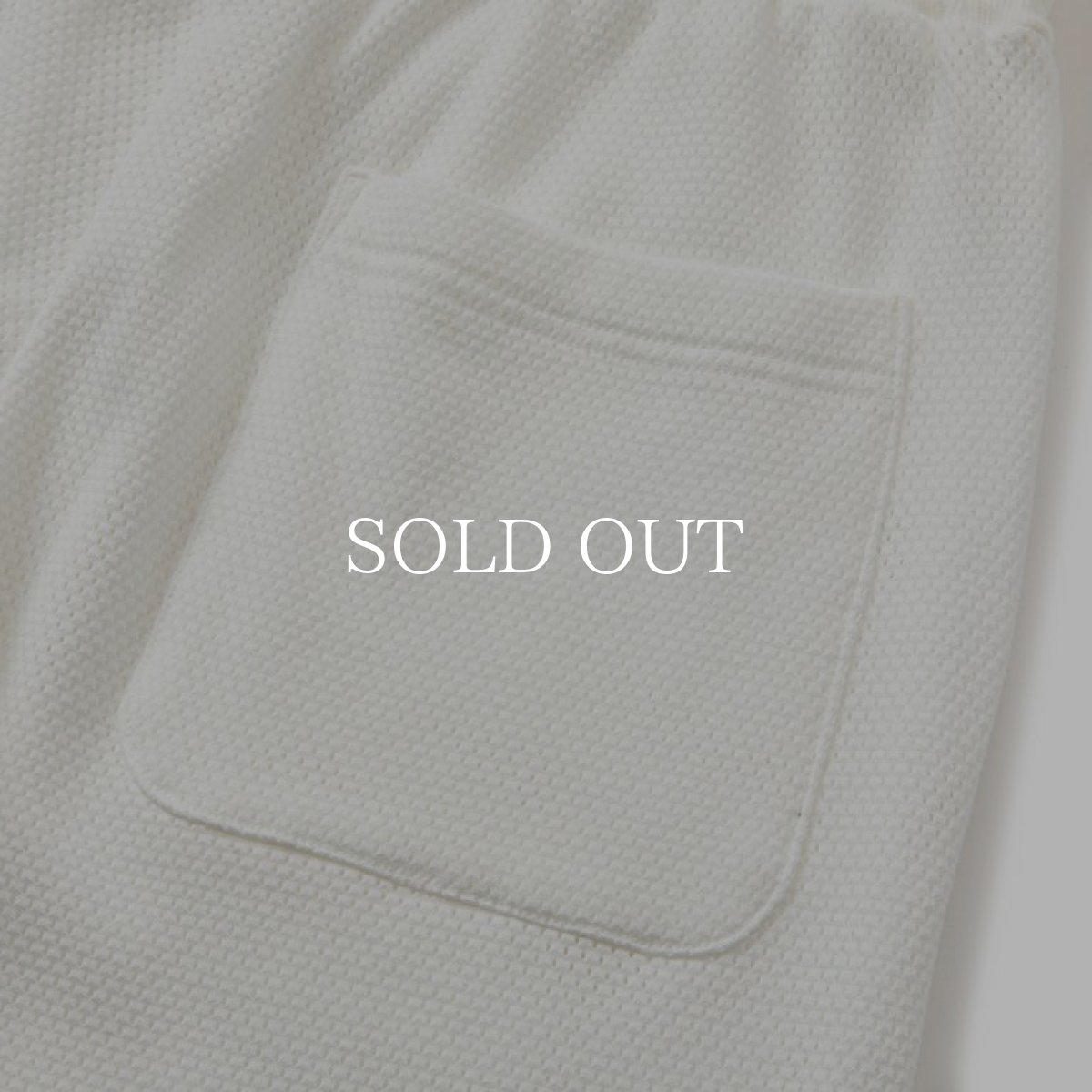 画像5: CALEE  NT Logo ct mesh game easy shorts (White) (5)