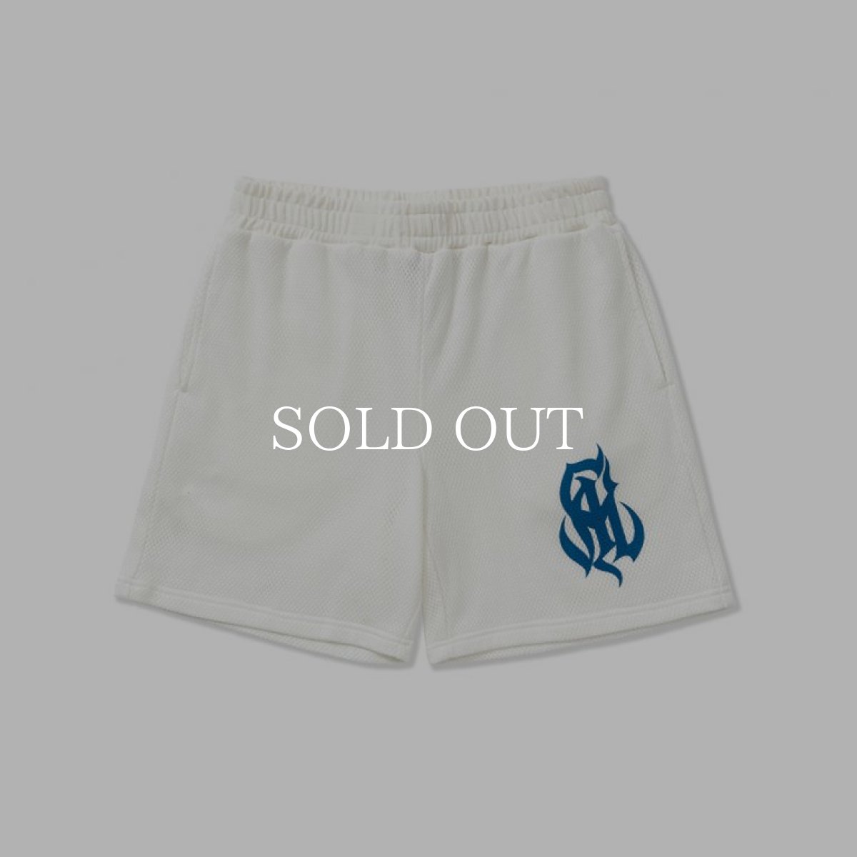 画像1: CALEE  NT Logo ct mesh game easy shorts (White) (1)