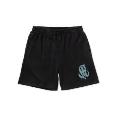 画像1: CALEE  NT Logo ct mesh game easy shorts (Black) (1)