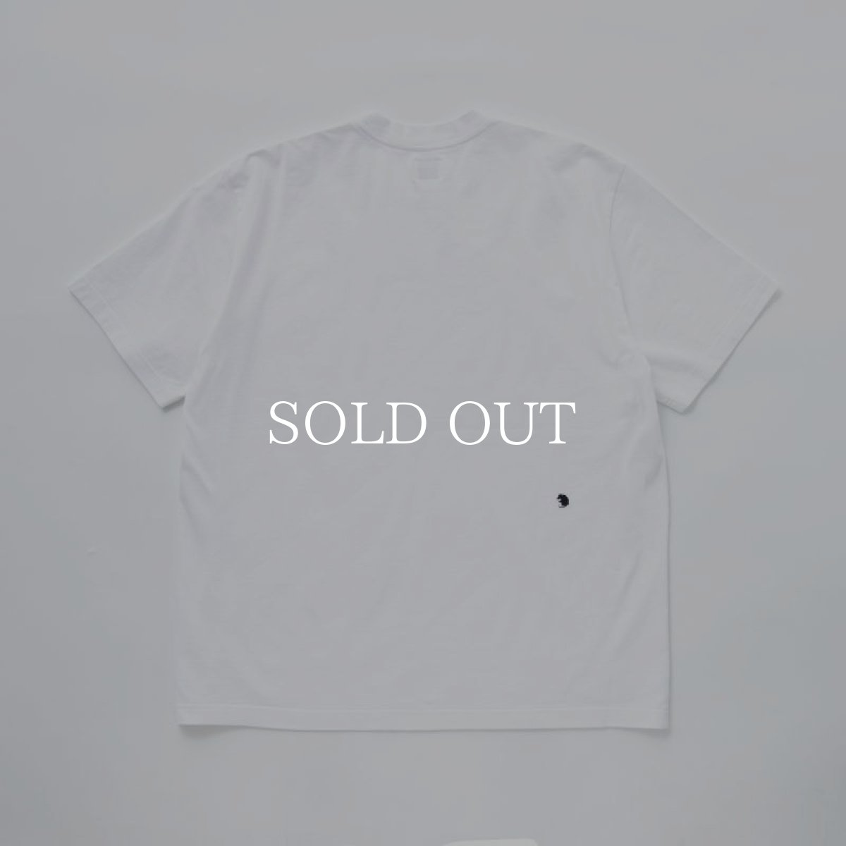 画像2: RATS  DOZENS TEE (WHITE x BLUE) (2)