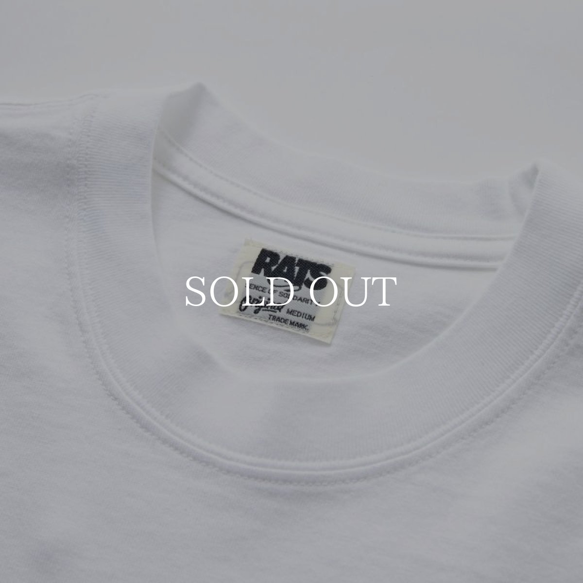 画像3: RATS  DOZENS TEE (WHITE x BLUE) (3)