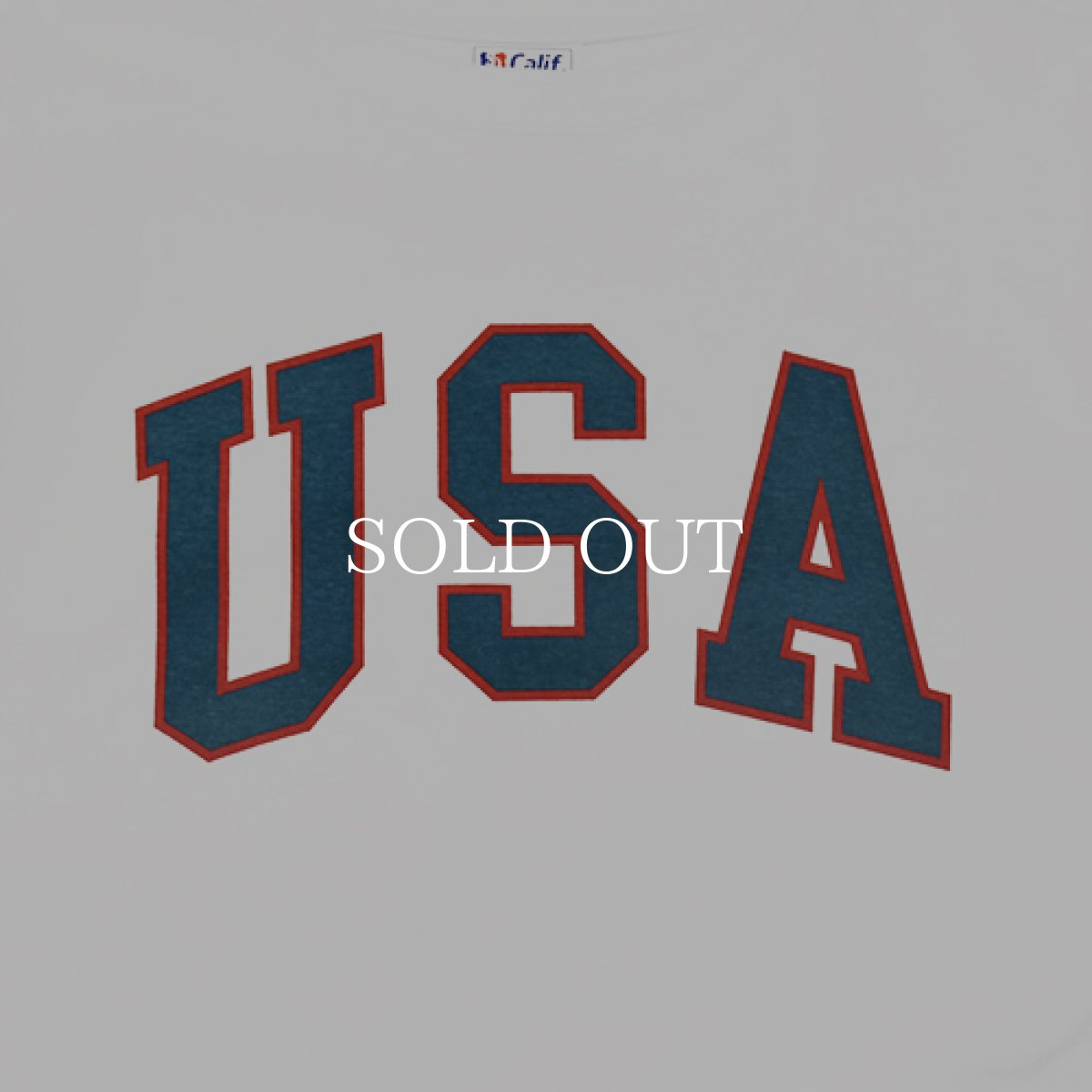 画像4: STANDARD CALIFORNIA  SD United We Standard T (White) (4)