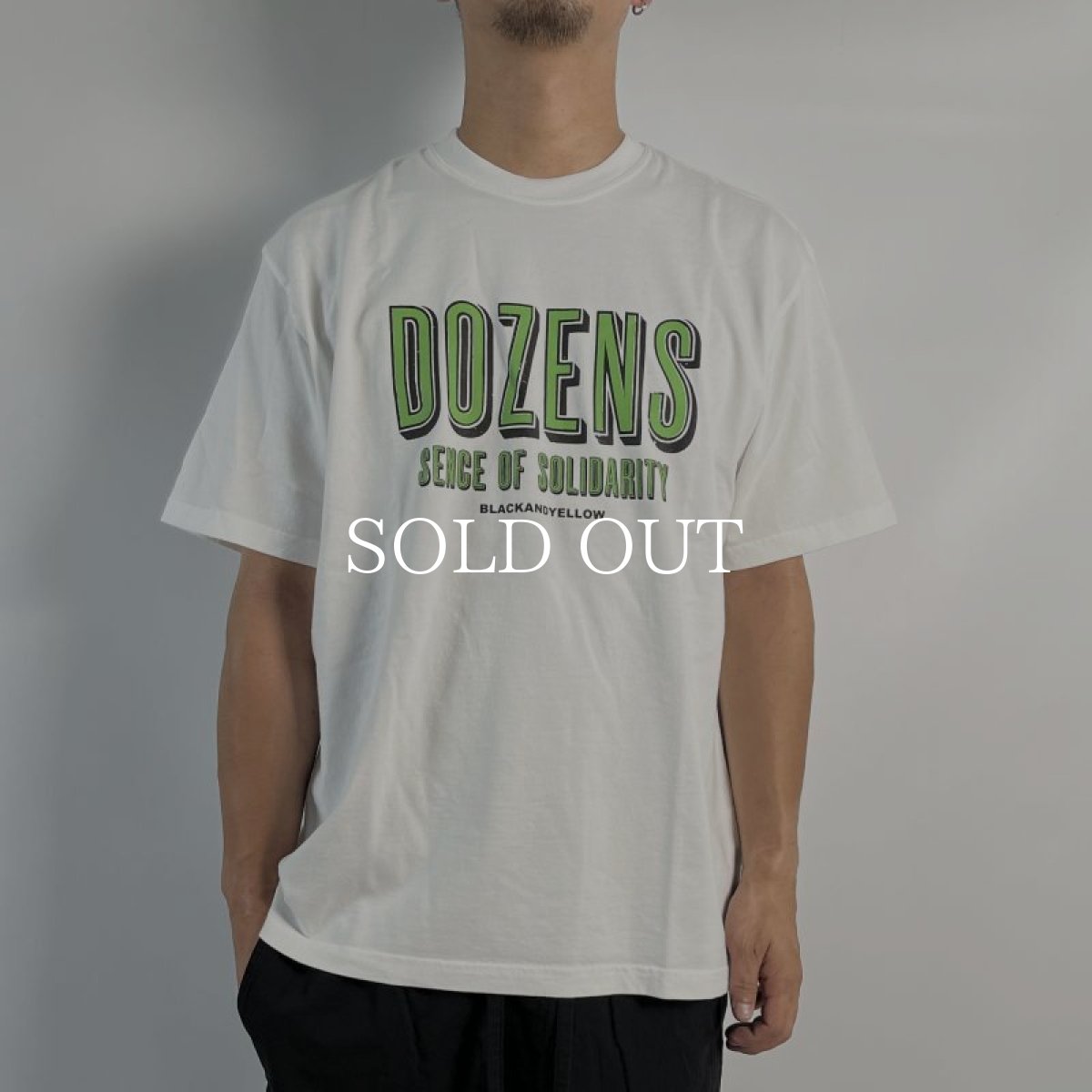 画像6: RATS  DOZENS TEE (WHITE x GREEN) (6)