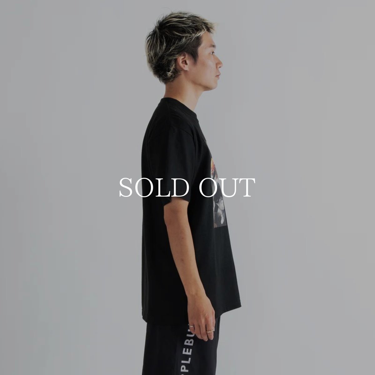 画像7: APPLEBUM  “Heroes of the Renaissance" T-shirt (Black) (7)