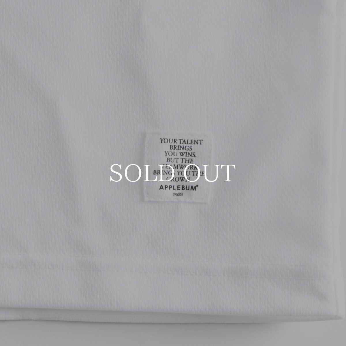 画像5: APPLEBUM  Elite Performance Dry T-shirt (White) (5)