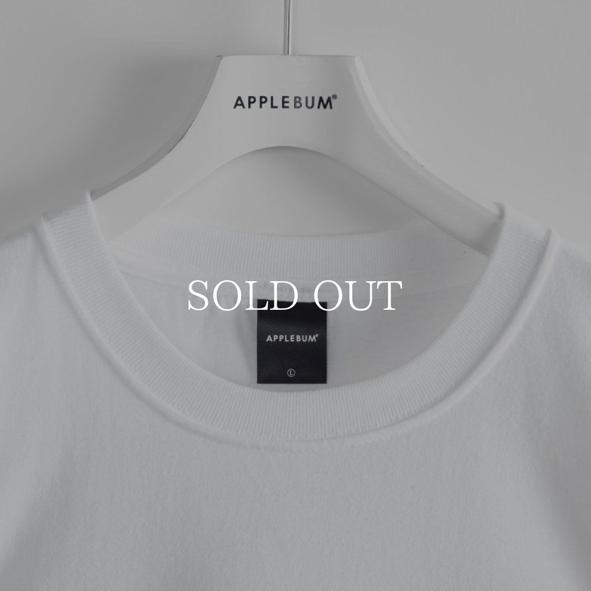 画像4: APPLEBUM  “Heroes of the Renaissance" T-shirt (White) (4)