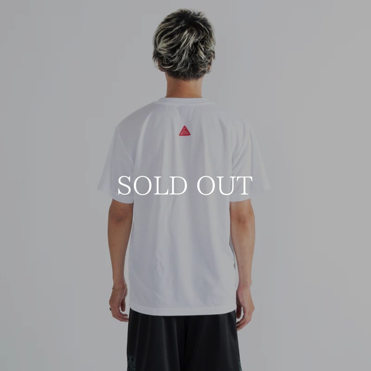 画像12: APPLEBUM  Elite Performance Dry T-shirt (White) (12)