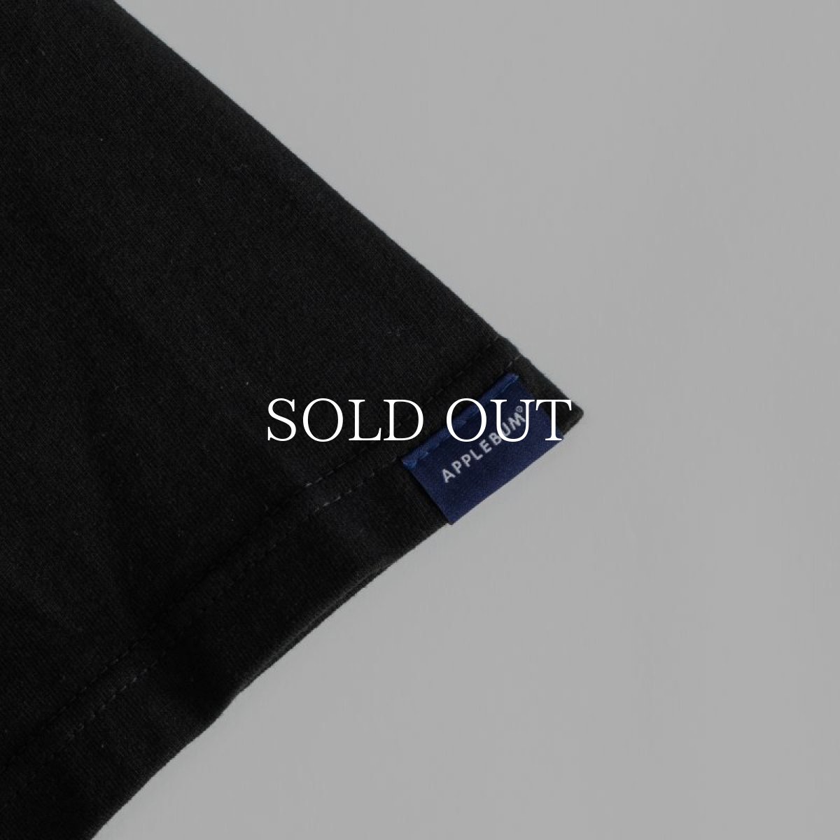 画像5: APPLEBUM  “Heroes of the Renaissance" T-shirt (Black) (5)