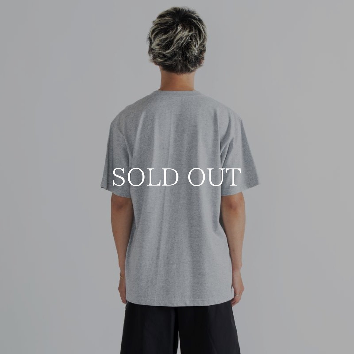 画像8: APPLEBUM  Heroes : “Icon" T-shirt (H.Gray) (8)