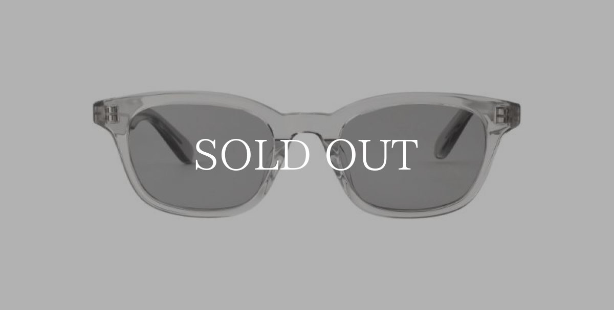 画像2: A.D.S.R.  BALVIN 02 (Clear Gray / Gray) (2)