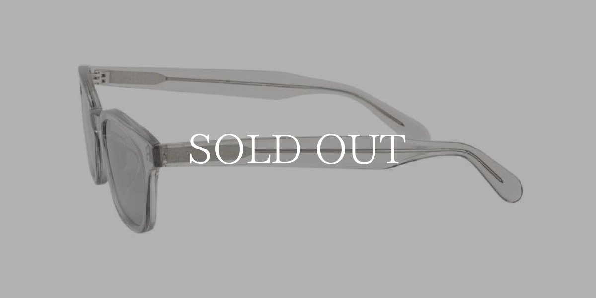 画像3: A.D.S.R.  BALVIN 02 (Clear Gray / Gray) (3)