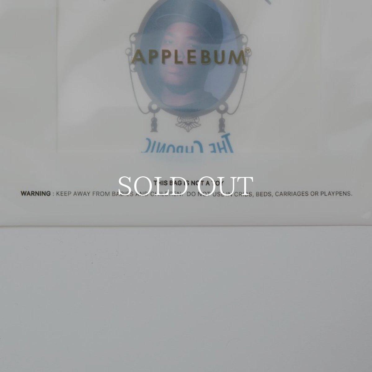 画像9: APPLEBUM  "The Chronic" Zip Bag (Pake) (The Chronic) (9)