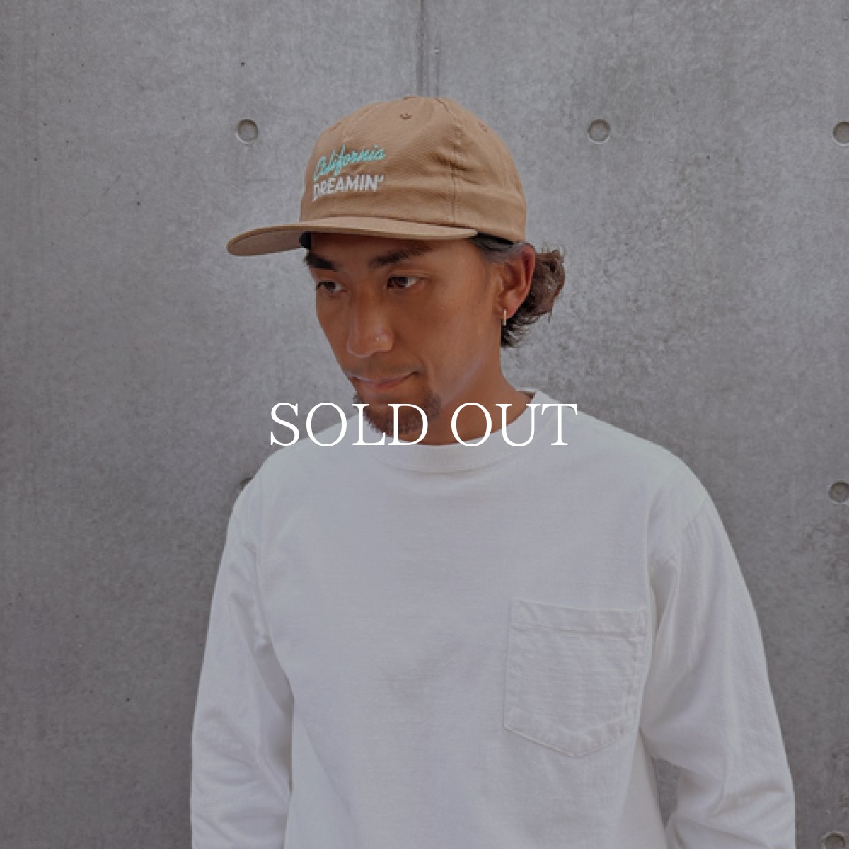 画像2: STANDARD CALIFORNIA  SD California Dreamin’ Twill Cap (Brown) (2)