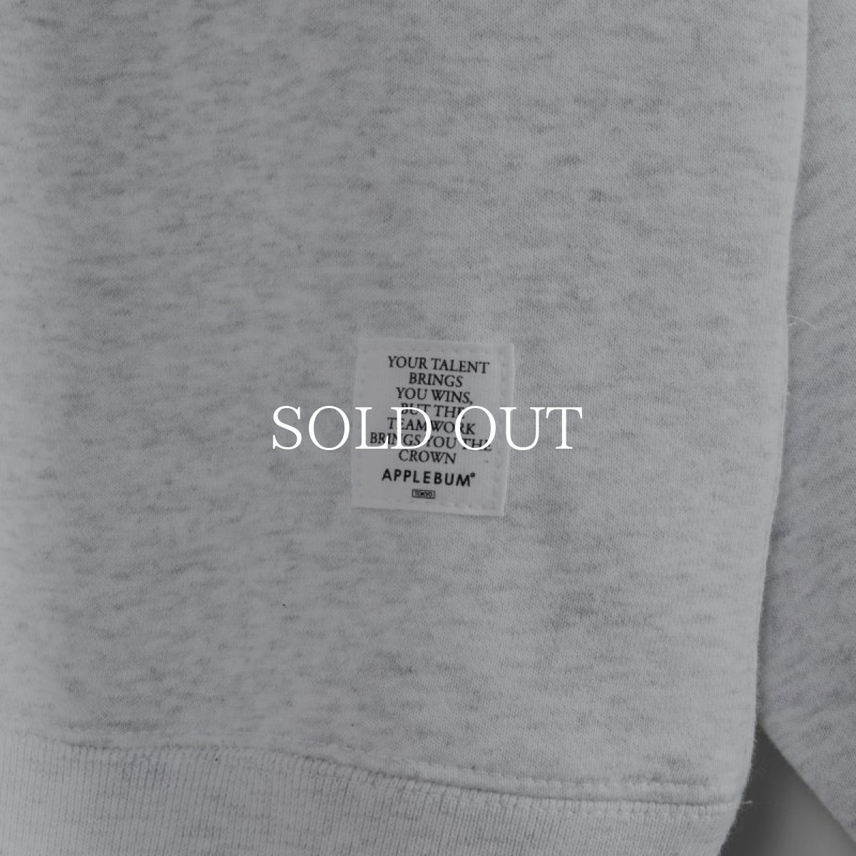 画像9: APPLEBUM  College Logo Big Crew Sweat (Ash) (9)