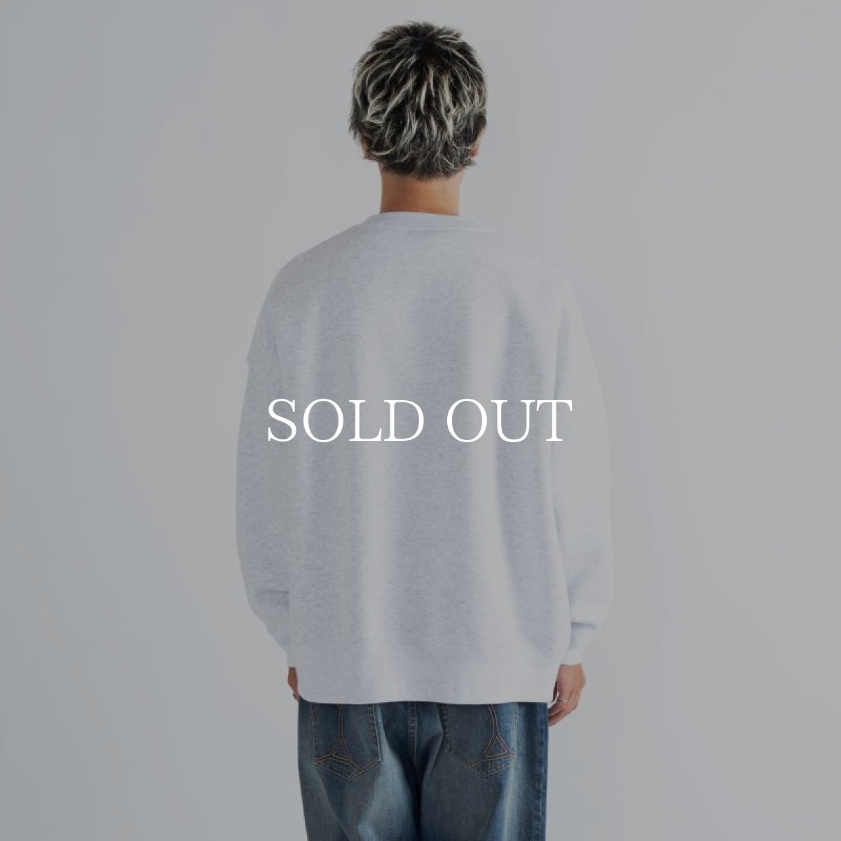 画像4: APPLEBUM  College Logo Big Crew Sweat (Ash) (4)