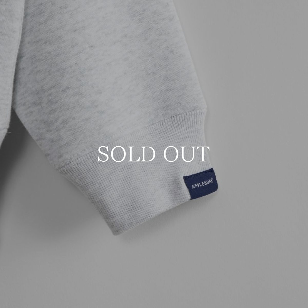 画像8: APPLEBUM  College Logo Big Crew Sweat (Ash) (8)