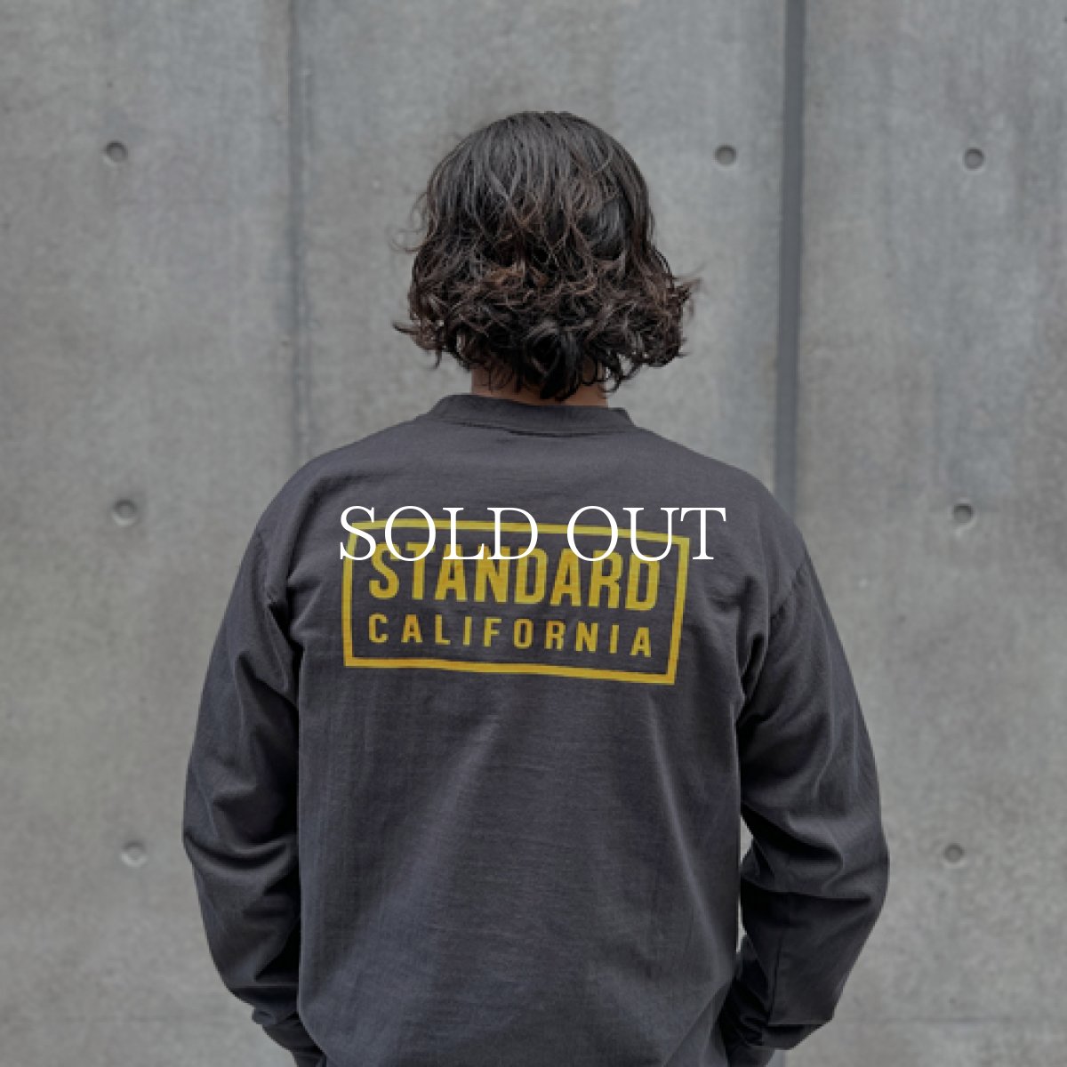 画像3: STANDARD CALIFORNIA  SD Heavyweight Box Logo Long Sleeve T (Black) (3)