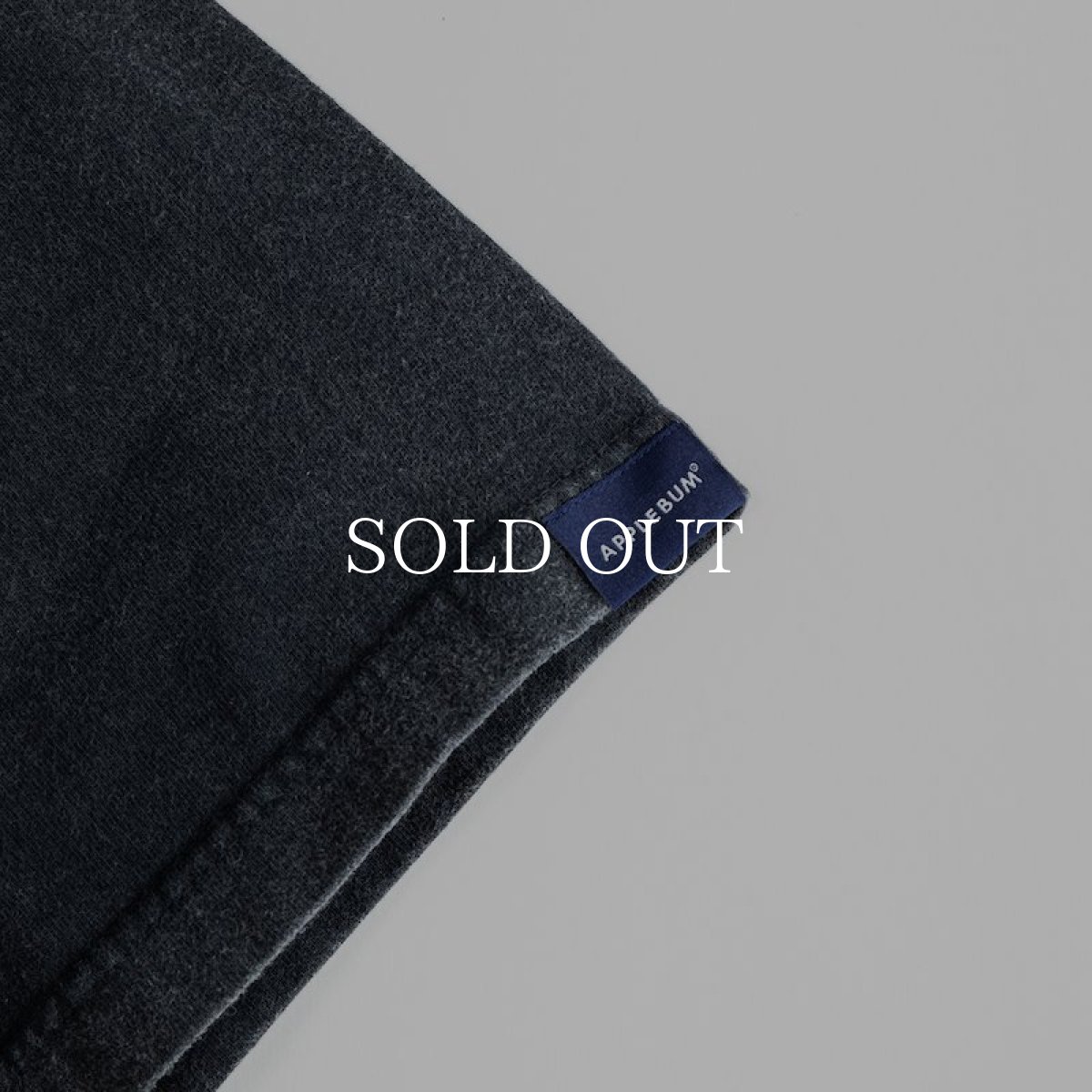 画像9: APPLEBUM  Resurrected Vintage T-shirt (Smoke) (Vintage Black) (9)