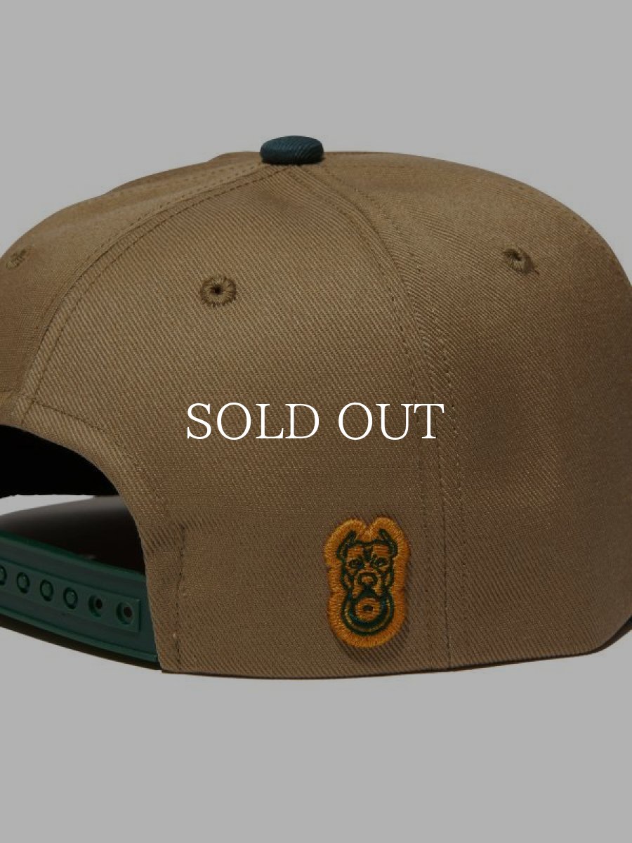 画像4: RADIALL  HOOD CITY - TRUCKER CAP (Beige) (4)