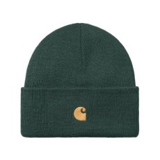 画像1: CARHARTT WIP  CHASE BEANIE (Discovery Green / Gold) (1)