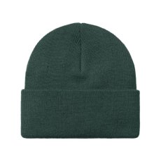 画像2: CARHARTT WIP  CHASE BEANIE (Discovery Green / Gold) (2)