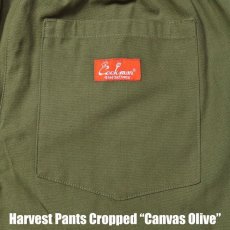 画像6: COOKMAN  Harvest Pants Cropped Canvas (Olive) (6)