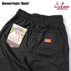 画像5: COOKMAN  Harvest Pants (Black) (5)