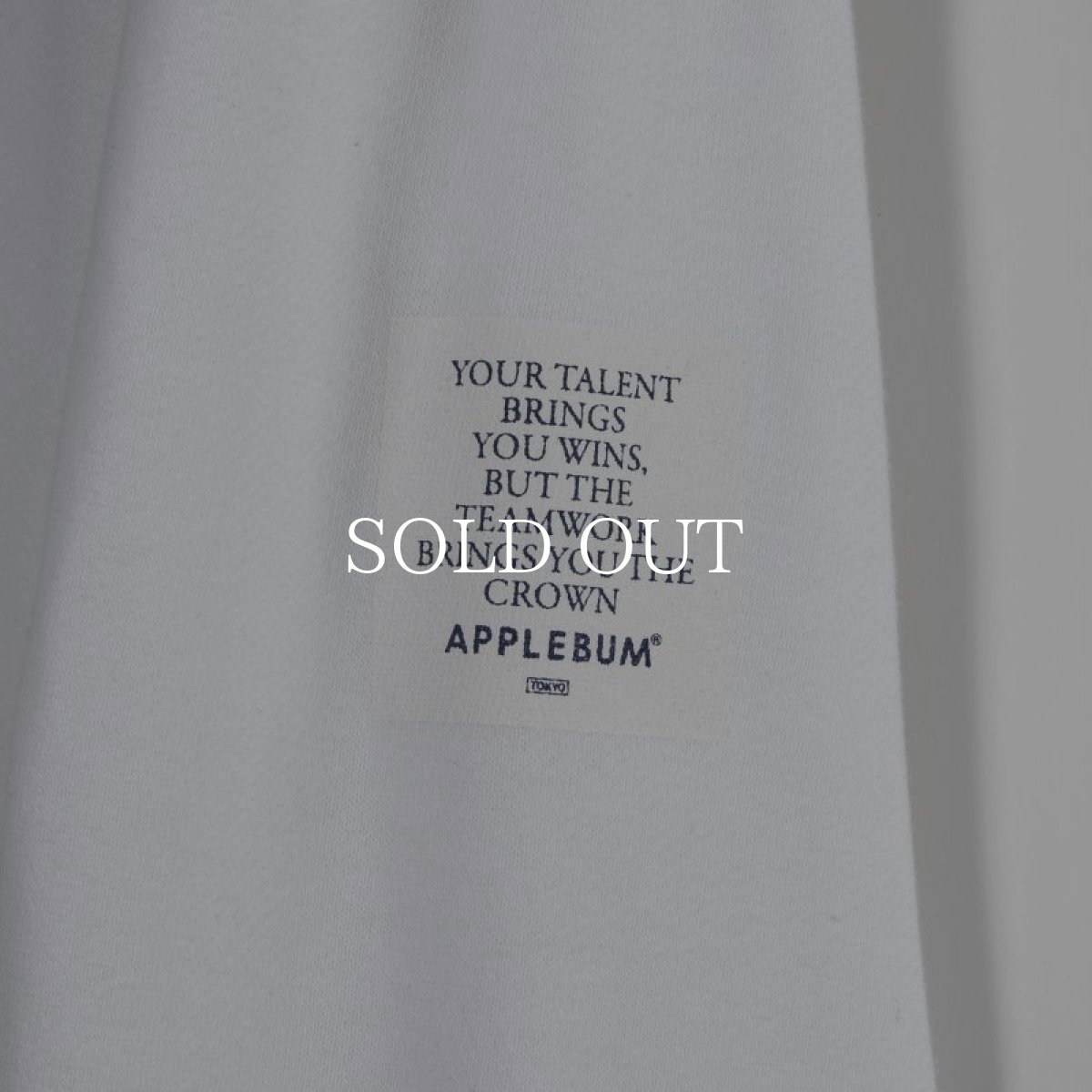 画像11: APPLEBUM  Pirates Logo Big Sweat Parka (White) (11)