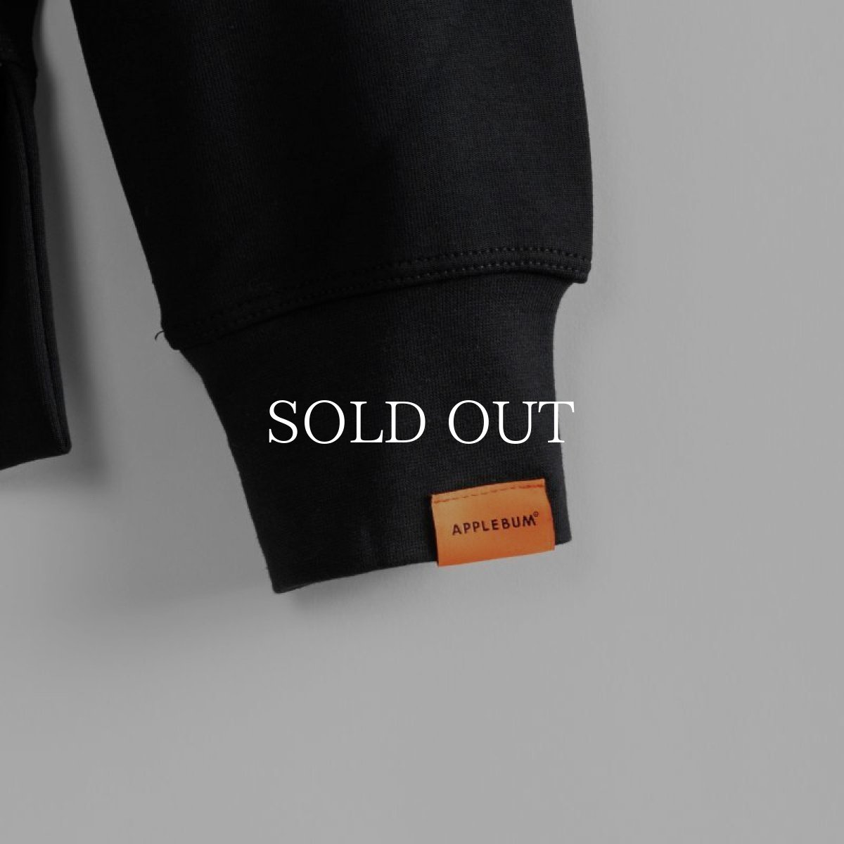 画像8: APPLEBUM  Elite Performance Parka (Black) (8)