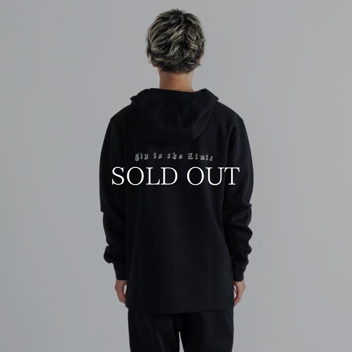 画像4: APPLEBUM  Elite Performance Parka (Black) (4)