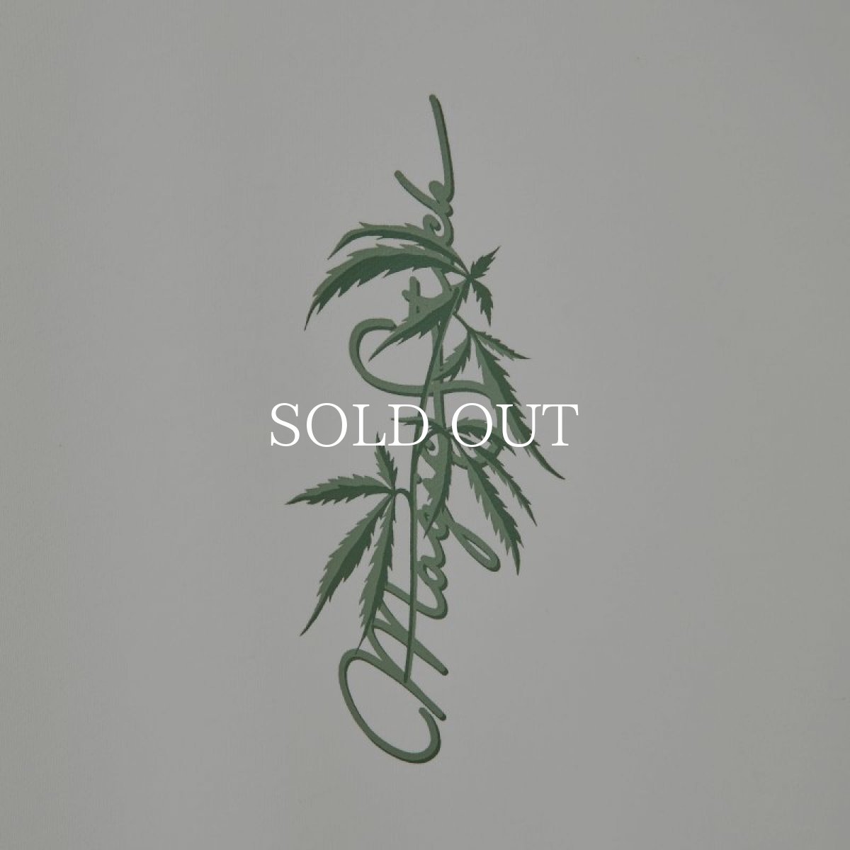 画像3: MAGIC STICK  Hawaiian Haze cat Crew (White) (3)