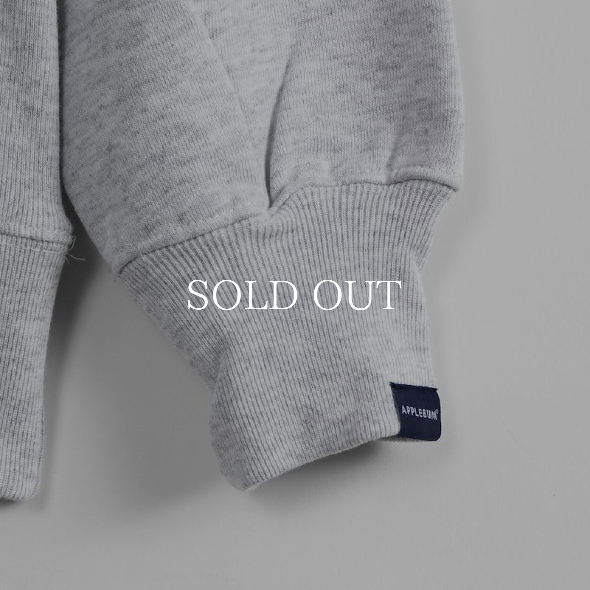 画像9: APPLEBUM  "UNDERGROUND東京" Sweat Parka (Ash) (9)