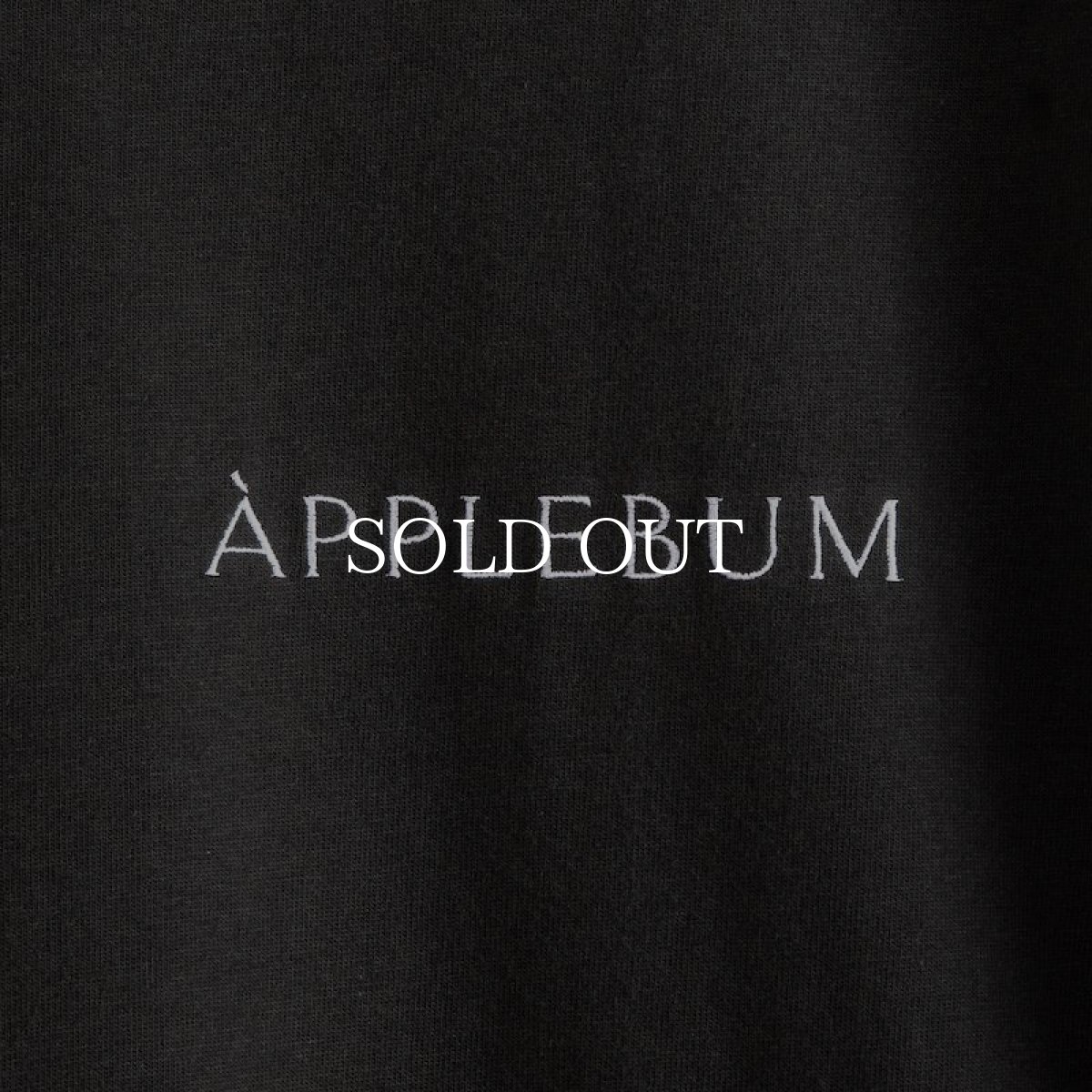 画像7: APPLEBUM  "Bonita Applebum 1500" Big L/S T-shirt (Charcoal) (7)