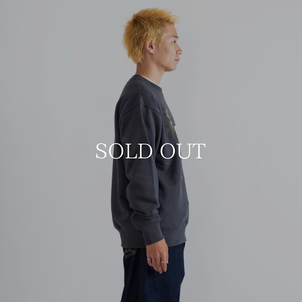 画像3: APPLEBUM  "Bald Eagle" Crew Sweat (Charcoal) (3)