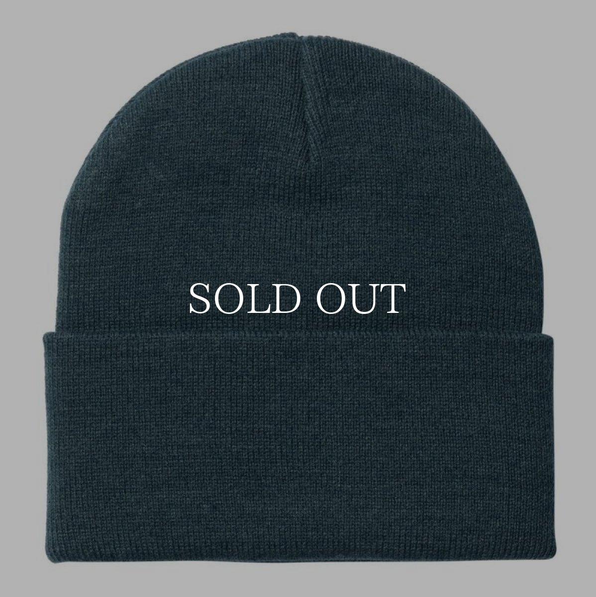 画像2: CARHARTT WIP  SCRIPT BEANIE (Squid / Salt) (2)