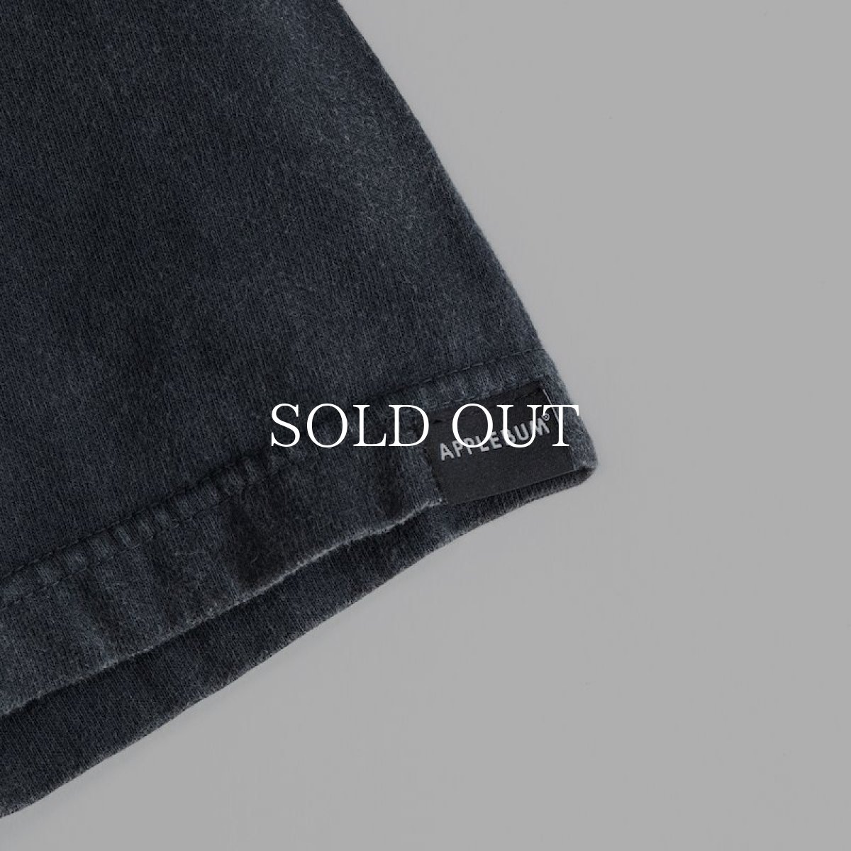 画像9: APPLEBUM  ”PUBLIC ENEMY” Resurrected Vintage T-shirt (Vintage Black) (9)