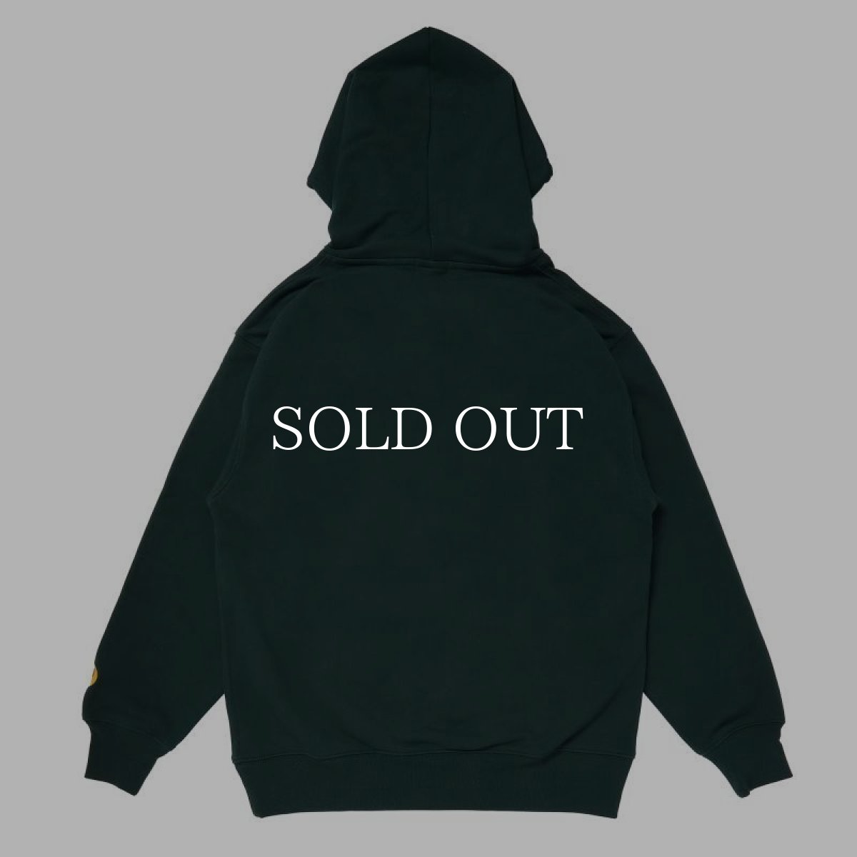 画像2: PORKCHOP GARAGE SUPPLY  2nd COLLEGE HOODIE (FOREST) (2)