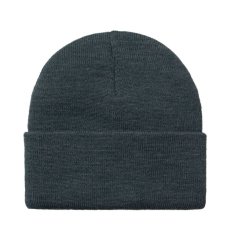 画像2: CARHARTT WIP  AMERICAN SCRIPT BEANIE (Ore) (2)